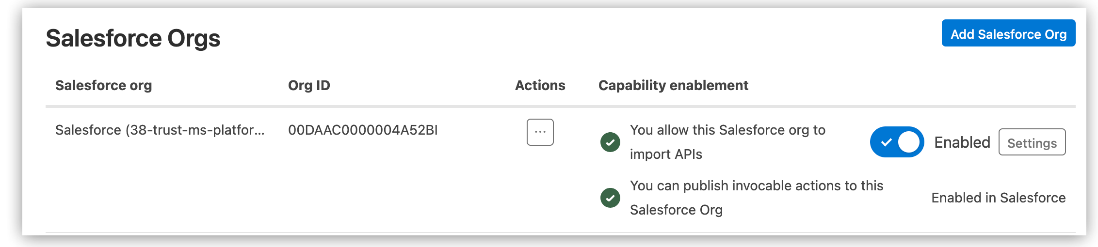 Connected Salesforce organization with both Invocable Actions and API Catalog enabled