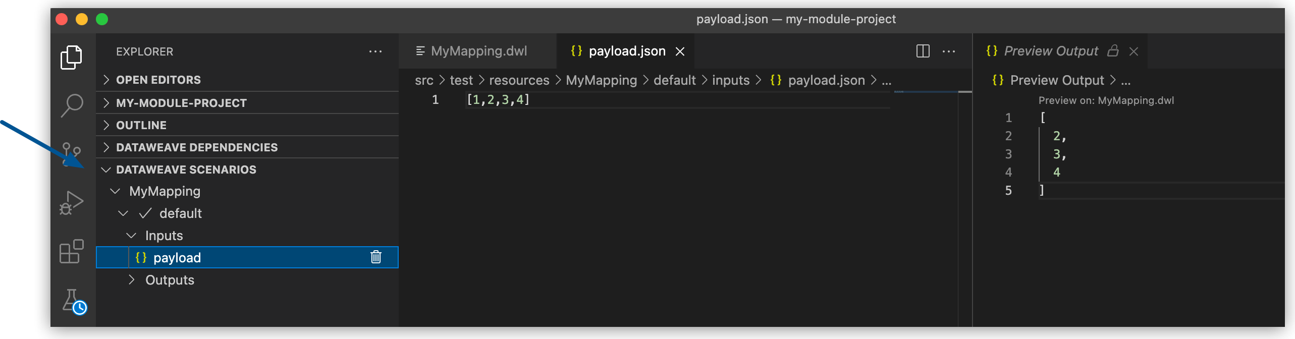 DataWeave Scenarios view in Visual Studio Code