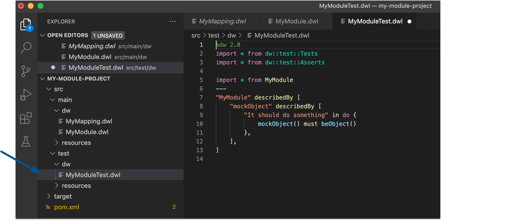 MyModuleTest.dwl file in the src/test/dw folder