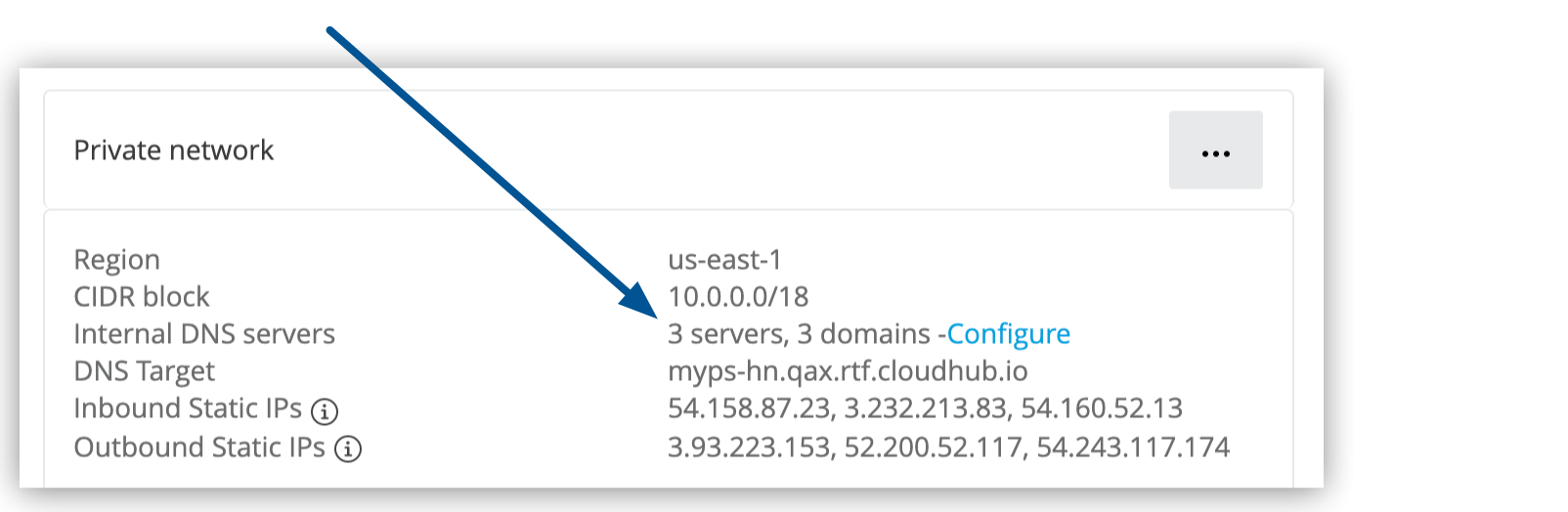 「Private Network (非公開ネットワーク)」 セクションの内部 DNS 設定