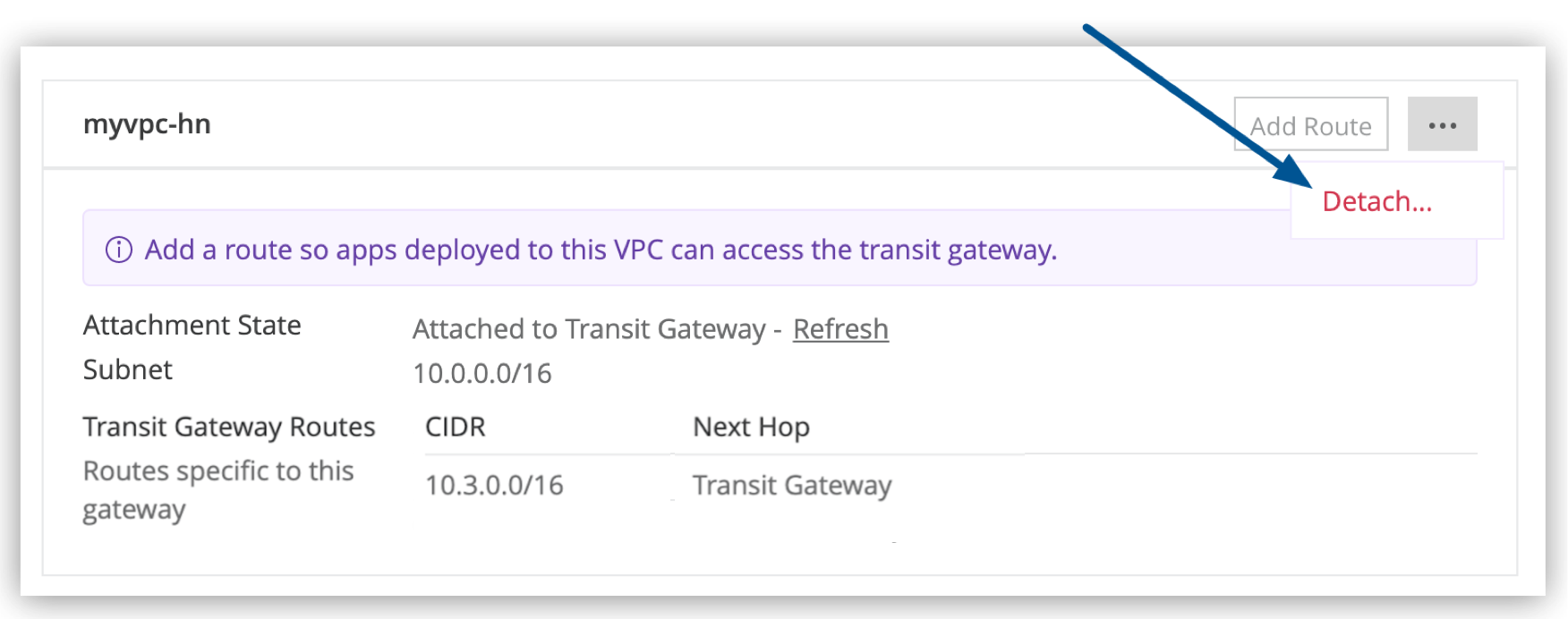 VPC メニューの [Detach VPC (VPC をデタッチ)] オプション