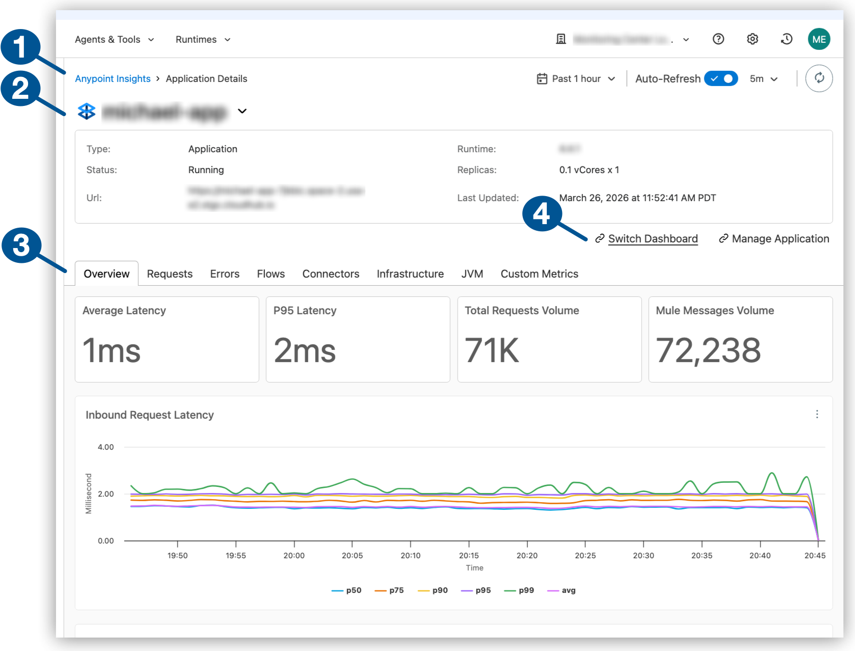 Anypoint Insights App Details UI