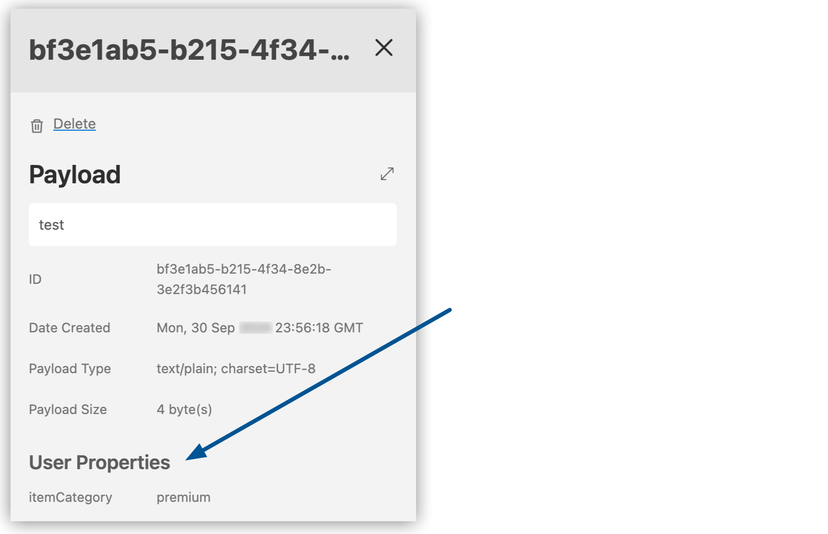 Message Browser details page showing the message payload and user properties