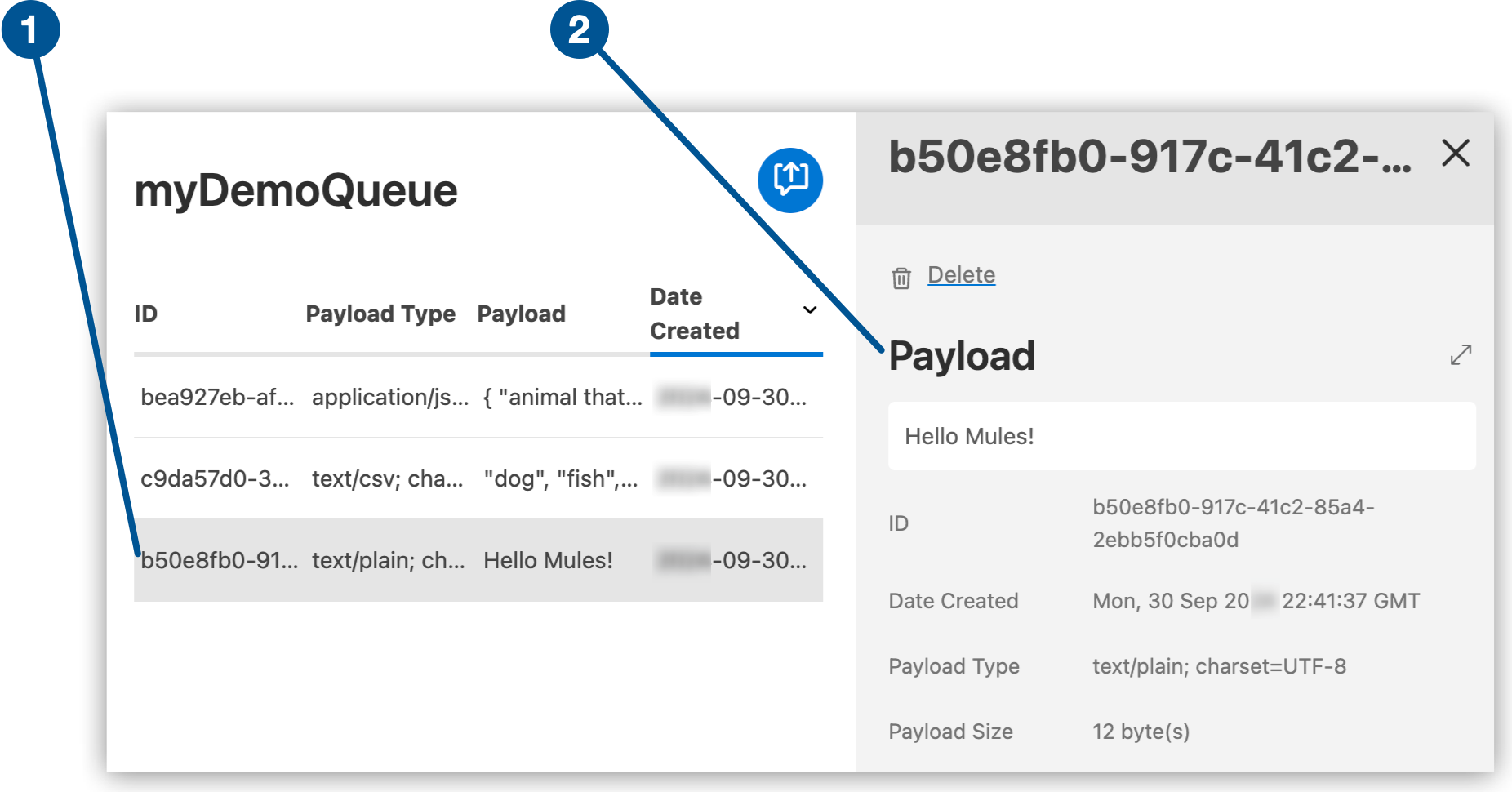 Selected message row and details pane showing the payload