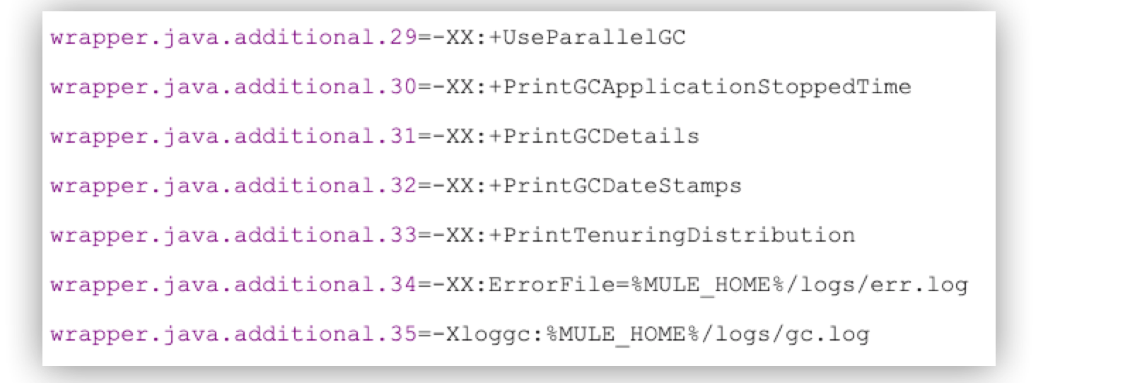 A text listing Java Virtual Machine options set in a configuration file