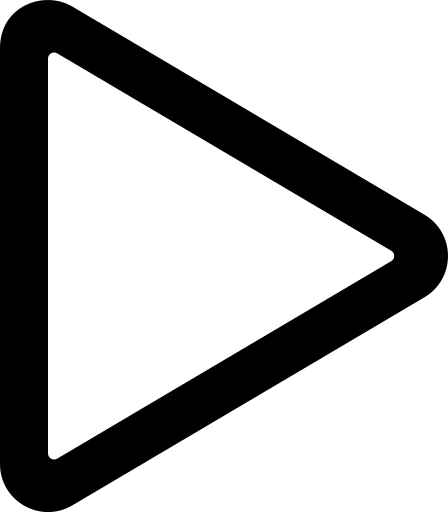 The Run Workflow icon