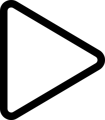 The Run Workflow icon